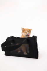 The Pet Carrier in Black